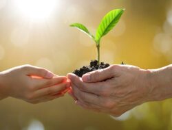 Kemendagri Dorong Pemerintah Daerah Lakukan Gerakan Menanam