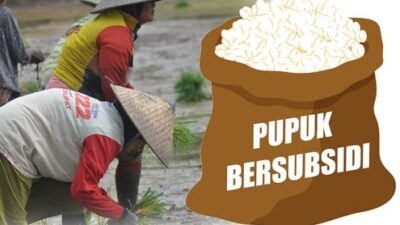 Pantau Penyaluran Pupuk Subsidi di Jawa Tengah, Ini Kata Tim Satgasus Pencegahan Korupsi