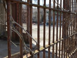 296 Tahanan Palestina akan Dibebaskan pada Tahap Pertama Gencatan Senjata