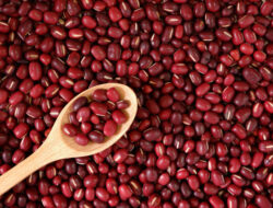 Diantaranya Atasi Kelelahan dan Kram Otot, Ini Manfaat Konsumsi Kacang Merah untuk Ibu Hamil