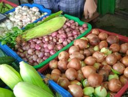 Harga Sayuran di Sanggau Naik, Didugaan Ini Penyebabnya