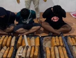 Polisi Tangkap Pengedar Narkoba di Jaktim, 41 Kg Ganja Disita