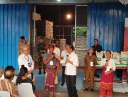Jokowi Pastikan Stok Beras Aman hingga Akhir 2024