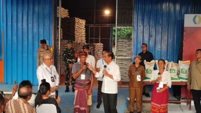 Jokowi Pastikan Stok Beras Aman hingga Akhir 2024