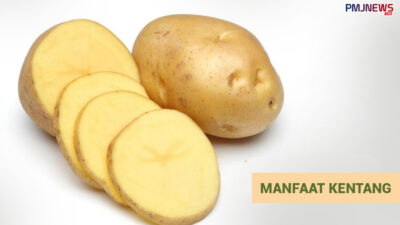 Ternyata Ini 4 Manfaat Konsumsi Kentang untuk Kesehatan Tubuh
