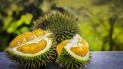 5 Manfaat Buah Durian Bagi Kesehatan, Turunkan Resiko Kanker hingga Depresi