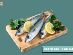 Manfaat Konsumsi Ikan Sarden, Baik untuk Kesehatan Jantung Hingga Otak