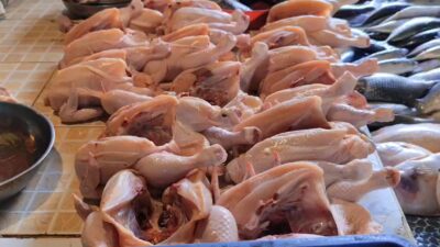 Harga Ayam Potong di Sanggau Tembus Rp50 Ribu Per Kilogram