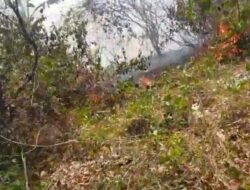 Karhutla Dominasi Bencana 24 Jam Terakhir, Riau dan Sumbar Terluas