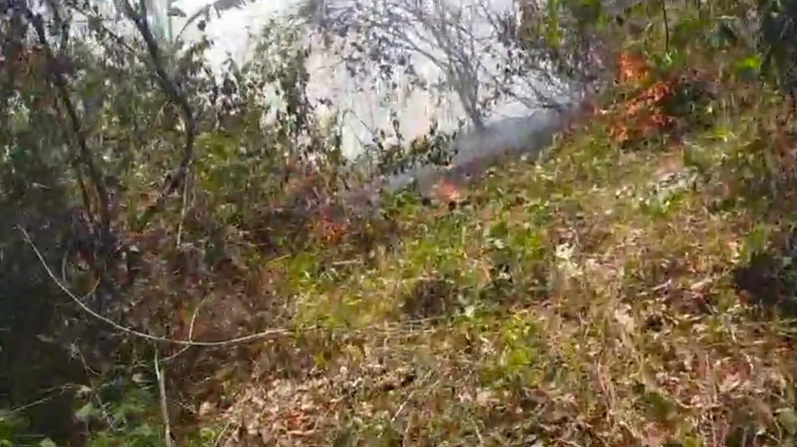 "Badan Nasional Penanggulangan Bencana (BNPB) merangkum sejumlah kejadian bencana yang terjadi di berbagai wilayah Indonesia selama periode pemantauan 24 jam terakhir, terhitung sejak Sabtu (19/07/2025) pukul 07.00 WIB hingga Minggu (20/07/2025) pukul 07.00 WIB."