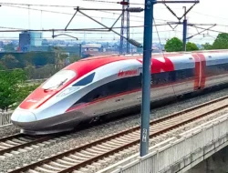 Gara-gara Biawak, Perjalanan Kereta Cepat Whoosh Terlambat 40 Menit