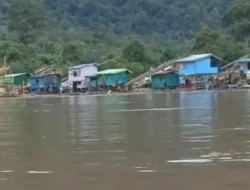 Polda Bongkar 29 Kasus PETI, “Cukong” AS Belum Tersentuh