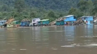 Polda Bongkar 29 Kasus PETI, “Cukong” AS Belum Tersentuh