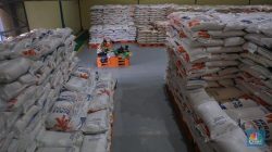 Data mengejutkan: 29.000 ton beras Bulog turun mutu dan 1,45 juta ton menumpuk di gudang. Simak alasan dan langkah pemerintah mengatasinya. (Dok. Ist)