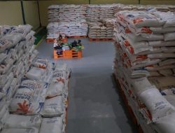 29 Ribu Ton Beras Bulog Turun Mutu dan 1,45 Juta Ton Menumpuk di Gudang