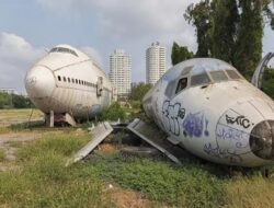 Bangkai Pesawat Peninggalan Perang Dunia II Ditemukan di Papua