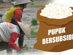 Pantau Penyaluran Pupuk Subsidi di Jawa Tengah, Ini Kata Tim Satgasus Pencegahan Korupsi